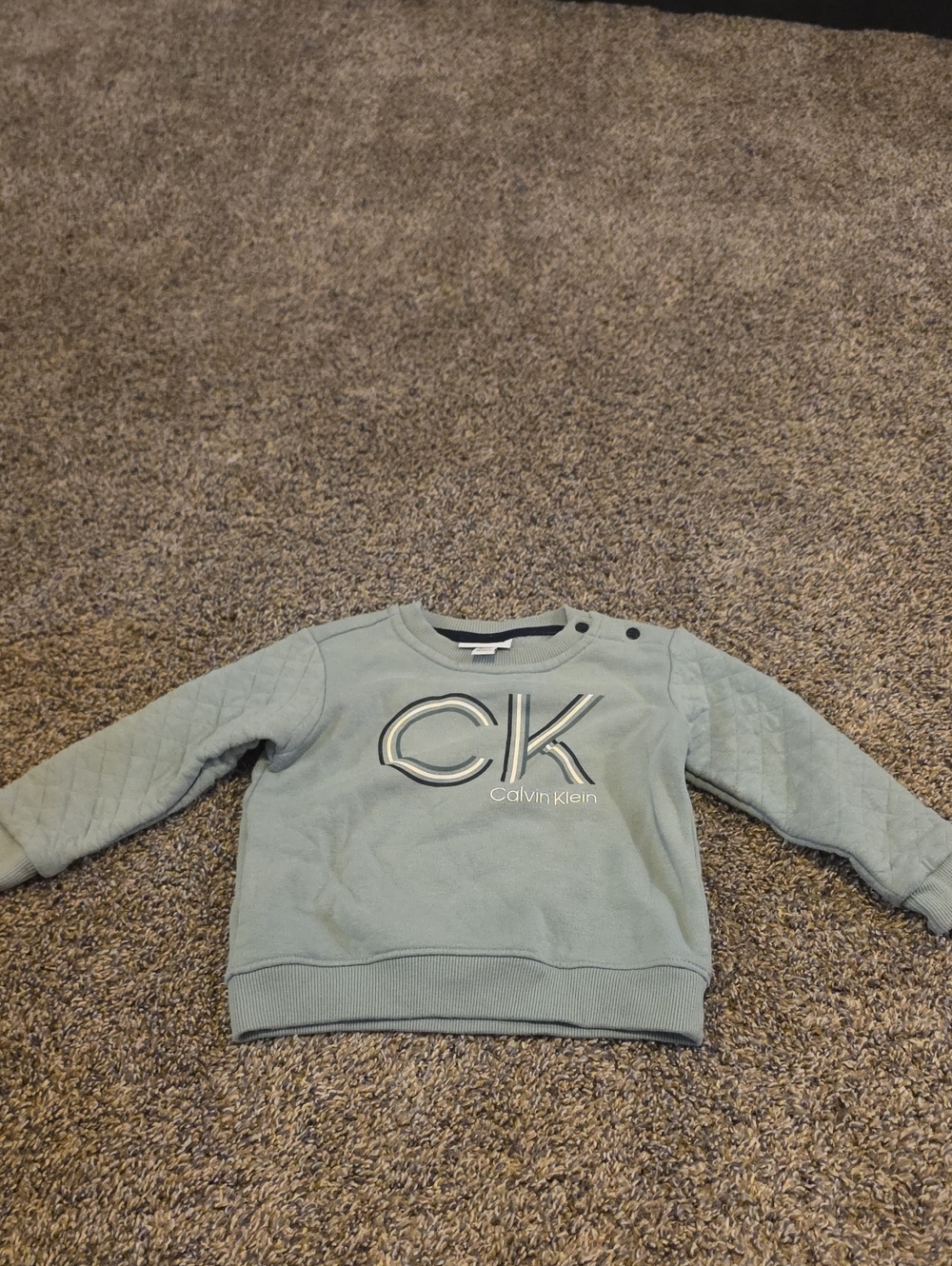 Calvin Klein Light Sage Green CK Logo Crewneck Sweater